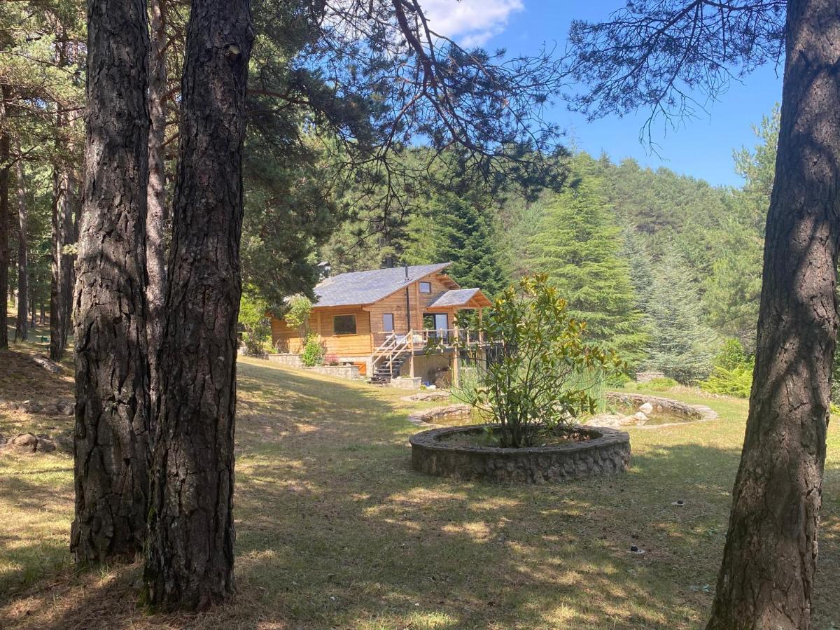 El Refugi De La Torre Espinalbet Villa Castellar del Riu Eksteriør billede